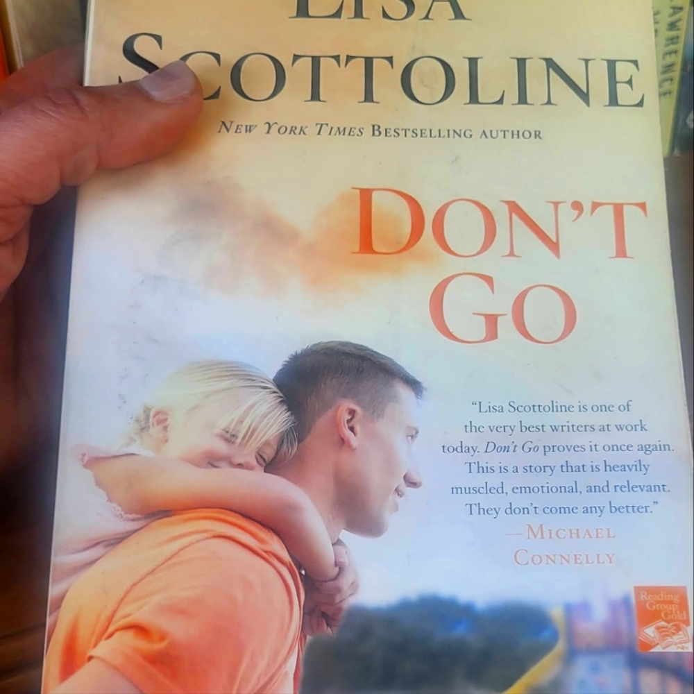 Lisa Scottoline Novel - Don't Go. Fabulous story!